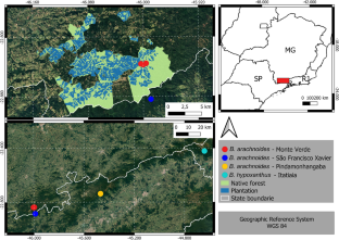 First record of the southern muriqui (Brachyteles arachnoides) in the state of Minas Gerais, Brazil.