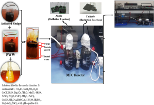 Biodegradation of petroleum wastewater for the production of bioelectricity using activated sludge biomass