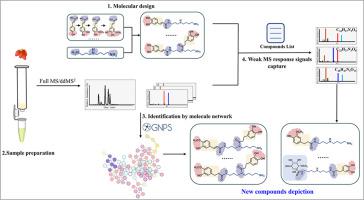 The “depict” strategy for discovering new compounds in complex matrices: Lycibarbarspermidines as a case