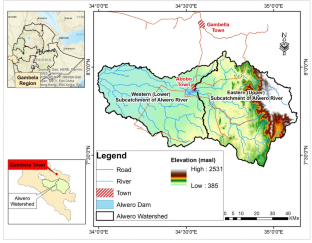 Land Use/Cover Dynamics and its Implication in Alwero Watershed, Western Ethiopia