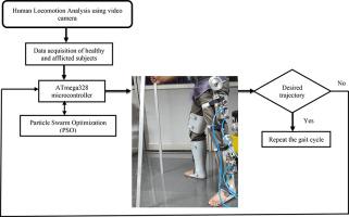 A Control Strategy for Pneumatically Powered Below-Hip Orthosis