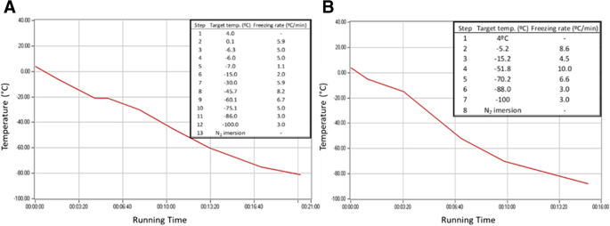 Post-thaw quality assessment of testicular fragments as a source of spermatogonial cells for surrogate production in the flatfish Solea senegalensis.