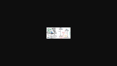 Photoexcitation dynamics of azide ion bound ferric myoglobin probed by femtosecond infrared spectroscopy