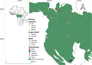 Genetic diversity and structure in wild and cultivated populations of an emblematic African tree species, Garcinia kola (Clusiaceae)