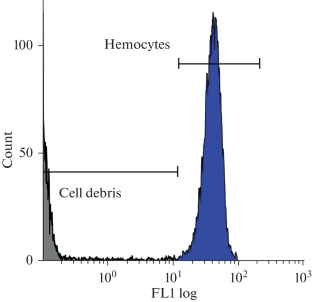 Morphological Analysis of the Hemolymph Cell Composition in the Bivalve Mollusk Anadara broughtonii Schrenck, 1867 (Sea of Japan)