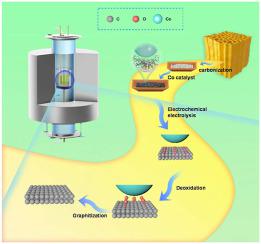 Low-temperature graphitization of lignin via Co-assisted electrolysis in molten salt