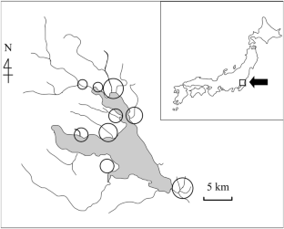 Synchronous decline of native bitterling population detected from 9 years of survey in rivers and agricultural ditches around Lake Kasumigaura, Japan