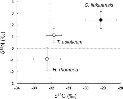 Partial mycoheterotrophy in rhizoctonia‐associated orchid
 
 Cheirostylis liukiuensis
