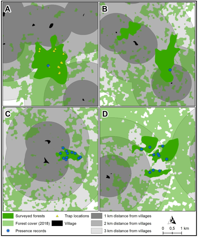 Documentation of commercial and subsistence hunting of Critically Endangered black-and-white ruffed lemurs (Varecia variegata) in northeastern Madagascar