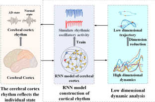 Probing latent brain dynamics in Alzheimer's disease via recurrent neural network.