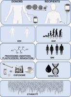 Red Blood Cell Storage: From Genome to Exposome Towards Personalized Transfusion Medicine