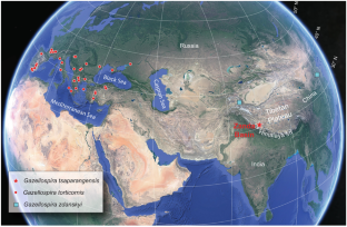 A new spiral-horned antelope, Gazellospira tsaparangensis sp. nov., from Pliocene Zanda Basin in Himalaya Mountain