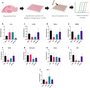 Serum of COVID-19 patients changes neuroinflammation and mitochondrial homeostasis markers in hippocampus of aged rats.