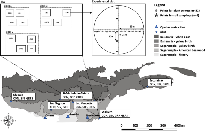 Increasing the intensity of regeneration treatments decreased beta diversity of temperate hardwood forest understory 20 years after disturbance