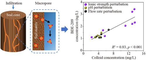 Colloid-facilitated release of polybrominated diphenyl ethers at an e-waste recycling site: evidence from undisturbed soil core leaching experiments