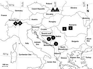 Cranial integration and modularity in chamois: The effects of subspecies and sex