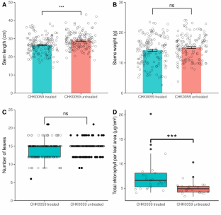 Effect of microalgae Chlorella fusca CHK0059 on the microbiota community in nursery strawberry