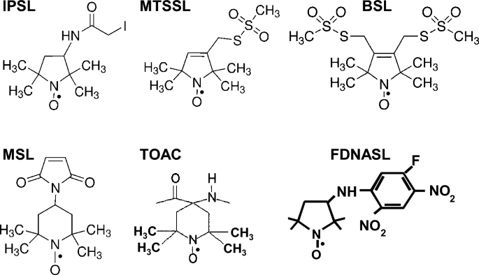 Structural Dynamics of Protein Interactions Using Site-Directed Spin Labeling of Cysteines to Measure Distances and Rotational Dynamics with EPR Spectroscopy