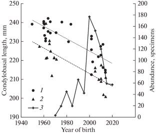The Reduction of the Size of Wolves of the Same Age of the Northwestern Black Sea Region in the 21st Century