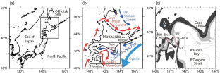 Intrusion of Coastal Oyashio water to Funka Bay and Tsugaru Strait occasionally disturbed by Kuroshio-originating warm core ring