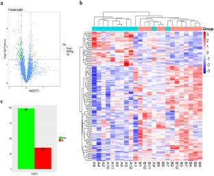 Low acrosin activity is associated with decreased Spam1/acrosin expression and GSH deficiency-caused premature acrosome release of human sperm cells.