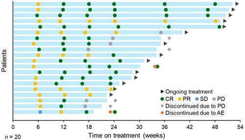 Subcutaneous epcoritamab monotherapy in Japanese adults with relapsed/refractory diffuse large B-cell lymphoma