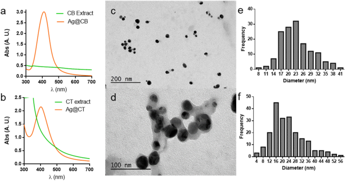 Antimicrobial and anti-biofilm activity of silver nanoparticles biosynthesized with Cystoseira algae extracts