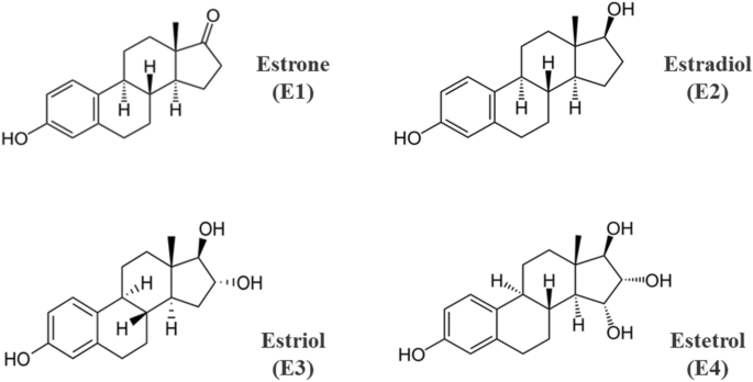 Estetrol: From Preclinical to Clinical Pharmacology and Advances in the Understanding of the Molecular Mechanism of Action.