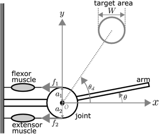 Optimal reaching trajectories based on feedforward control