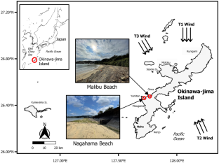 Fish mortality following sudden cold snap in Okinawa-jima Island, Japan