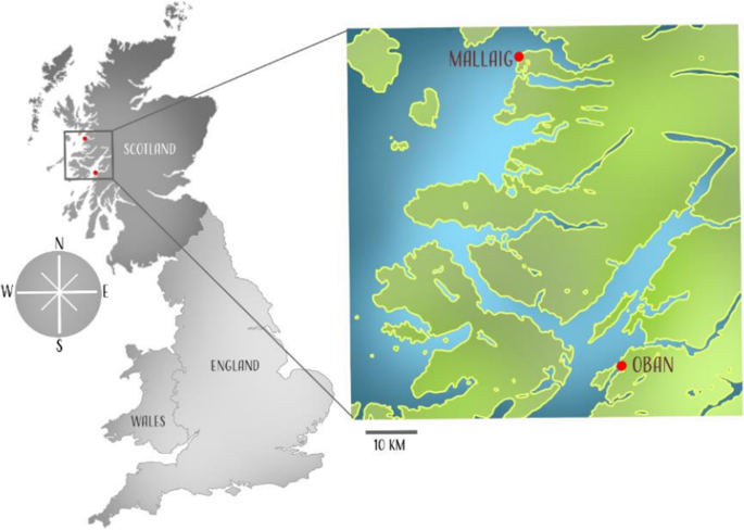 The importance of local fisheries as a cultural attribute: insight from a discrete choice experiment of seafood consumers