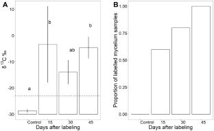 Mycorrhiza-feeding soil invertebrates in two coniferous forests traced with <sup>13</sup>C labelling.