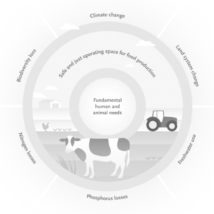 From Blind Spot to Crucial Concept: On the Role of Animal Welfare in Food System Changes towards Circular Agriculture