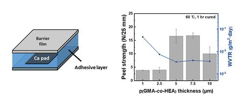 A Low-Temperature Curable Conformal Adhesive Layer for Monolithic Lamination of Thin Film Encapsulation