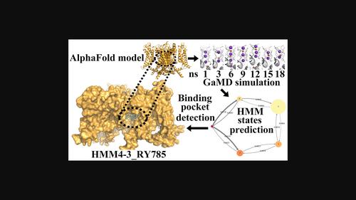 An in silico investigation of Kv2.1 potassium channel: Model building and inhibitors binding sites analysis.