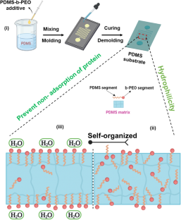 Flexible Capillary Microfluidic Devices Based on Surface-Energy Modified Polydimethylsiloxane and Polymethylmethacrylate with Room-Temperature Chemical Bonding