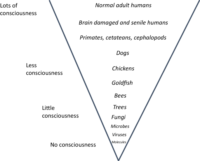 Sensitive Souls and Biosemiotic Agency as Emergence