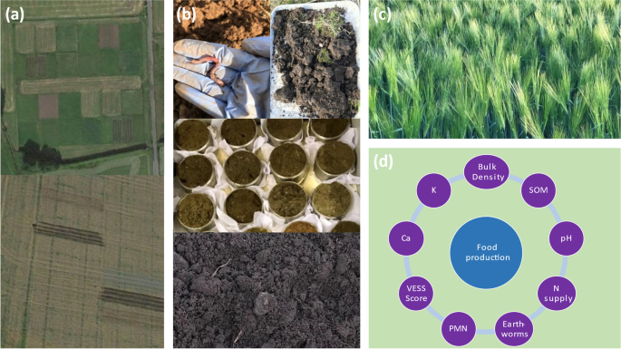 Soil health metrics reflect yields in long-term cropping system experiments