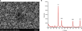 Efficacy of Green Synthesized Silver Based Nanomaterials Against Early Blight of Tomato Caused by Alternaria solani