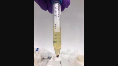 Analysis of degradation products in thermally treated TATB