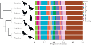 Protein Repeats Show Clade-Specific Volatility in Aves