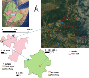 Effect of Environmental Gradient on Organic Carbon Stock of Wacho Forest Soil, South Western Ethiopia