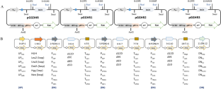 Expansion of YALIcloneHR toolkit for Yarrowia lipolytica combined with Golden Gate and CRISPR technology