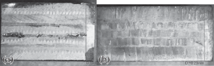 Effect of Annealing on the Microstructure and Hardness of EP648 Alloy after Direct Metal Deposition