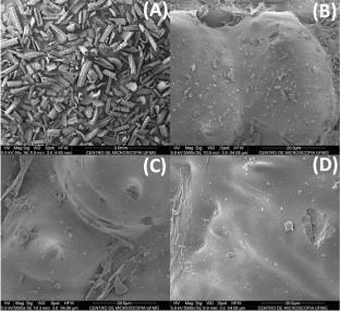 Kinetic and thermodynamic studies on the thermal inactivation of lipase immobilized on glutaraldehyde-activated rice husk silica