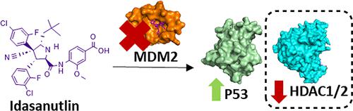 MDM2 Antagonist Idasanutlin Reduces HDAC1/2 Abundance and Corepressor Partners but Not HDAC3