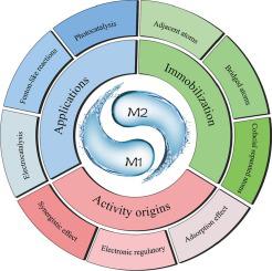 Atomically dispersed dual-atom catalysts: A new rising star in environmental remediation