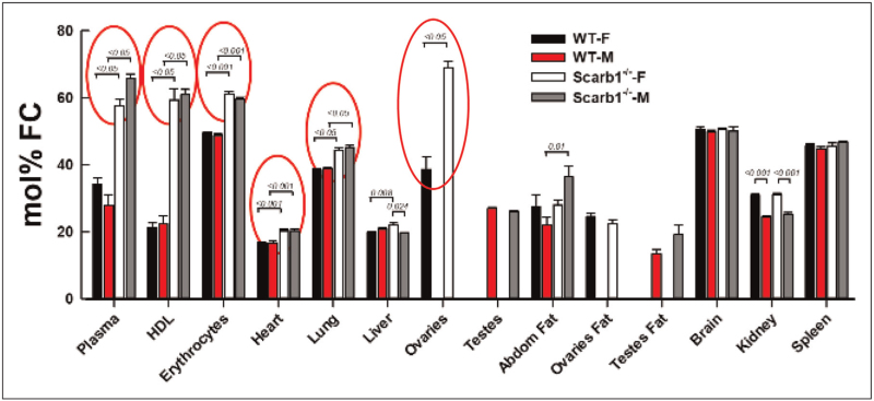 The pathophysiology of excess plasma-free cholesterol.