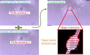 The target region focused imaging method for scanning ion conductance microscopy