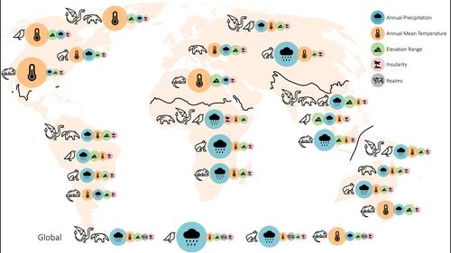 Diversity gradients of terrestrial vertebrates – substantial variations about a common theme